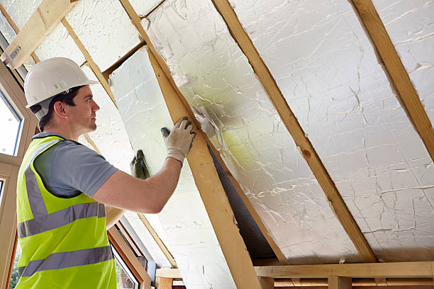 Best Commercial Insulation in Sleepy Eye, MN